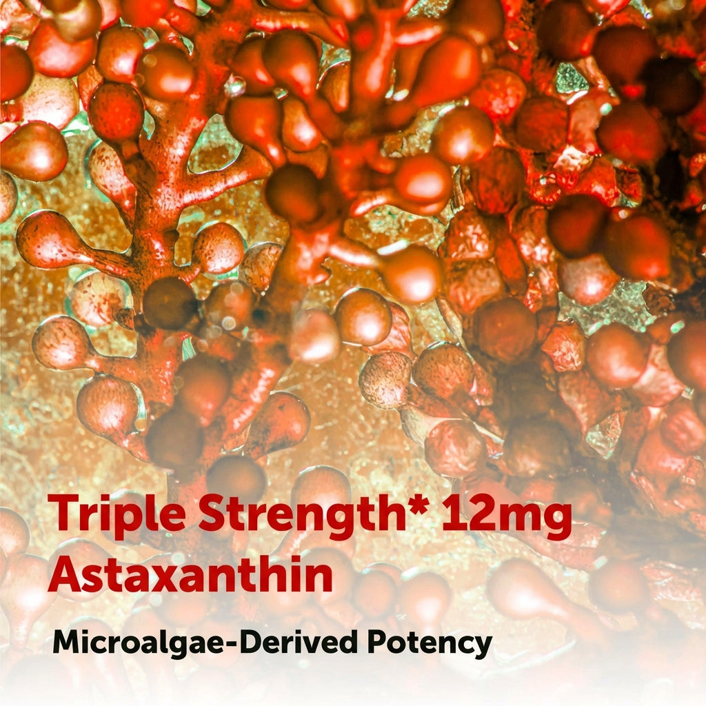 Astaxanthin Anti-Inflammatory Softgels